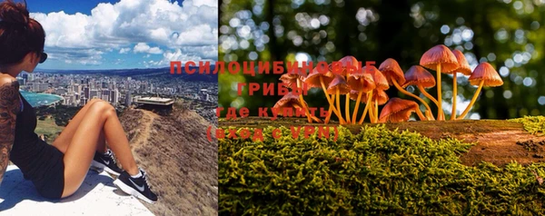 мескалин Нязепетровск