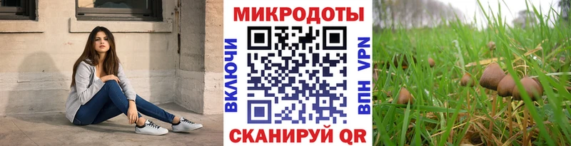 Галлюциногенные грибы мицелий  Купить закладки  Рубцовск 